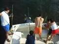 acapulco sport fishing pesca deportiva de marlin yate altair