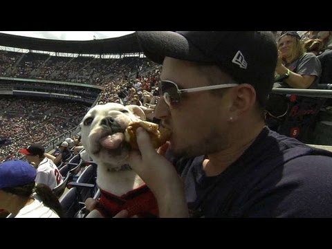 Video: Dog enjoys hot dog during 'Bark in the Park'