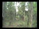 Woodland Gotcha BB 02/16.06.07 Paintball 24/7 Woodland Gotcha BB 02/16.06.07 Paintball 24/7