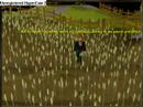Amish Paradise- Runescape Style Amish Paradise- Runescape Style