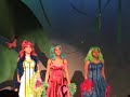 jungle of nool