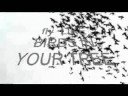 yourtree official commercial yourtree official commercial