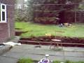 the garden