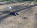 Adam Lay There Like a Slug