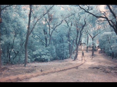 how to use ir filter on digital camera