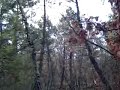 becadas en soria