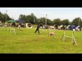 Kreismeisterschaft 2012 Ostbevern