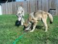 selene with hose
