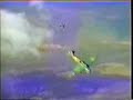 YAK-52 - Skydive