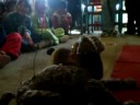 Show del Pulga y el Kily