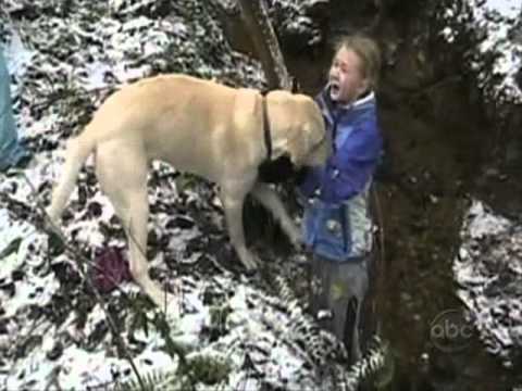 America's Funniest Home Videos Part 20