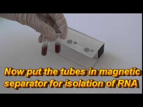 how to isolate rna from blood