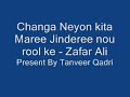 Changa Neyon Kita Maree - Zafar Ali