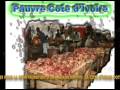 musique ivoirienne-ticken jah fakoly- zouglou
