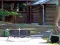 Horseshoes World Champion