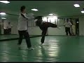 Jin Jung Kwan Hapkido
