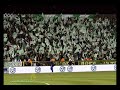 Maccabi Haifa Fans - ????? ???? ????