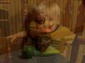 videos de lukas