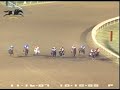 FIRST PRIZE MAN - FIRST PRIZE MAN........Vencedor Texas Classic Derby(G1) trial at Lone Star Park