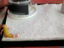 My new Leopard gecko