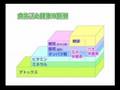 キレートサプリメント【ゼオラクス】