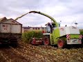 Claas Jaguar 840