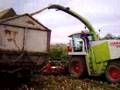 Claas Jaguar 840