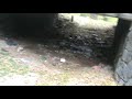 Basura en CU P1.wmv