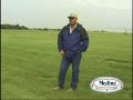 Blade Runner Grass Farm