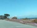 PacificGroveLife.com - Scenic Drive - YouTube