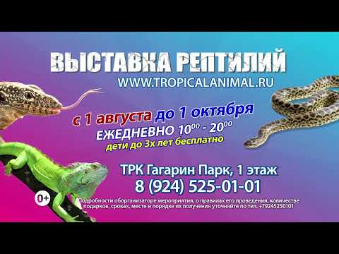 Выставка рептилий в Челябинске