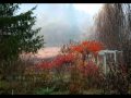 Back to Bairam بيرم (Persian / Iranian folk song) By Hamandan حمندان