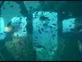 Wreck diving in Phuket