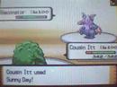 Pokemon Diamond WiFi Battle: Kawalski vs. EtceteraEtcetera