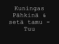 Kuningas Pähkinä & Setä Tamu - Tuu Mun Autoon Kuningas Pähkinä & Setä Tamu - Tuu Mun Autoon