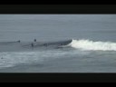 081608 San Diego Surfing