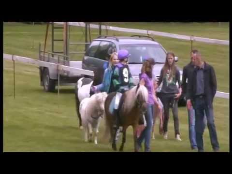Shetty Rennen Rastede 9. Juni 2013
