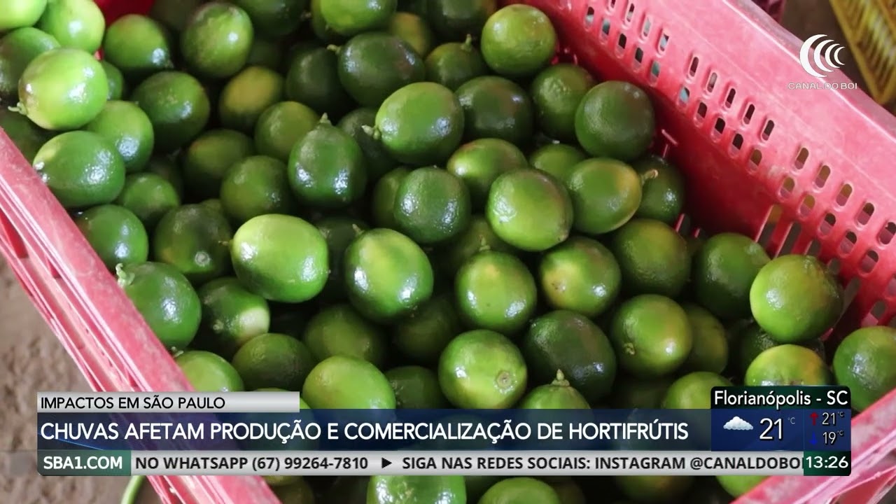 Chuvas em São Paulo afetam produção e comercialização de hortifrutigranjeiros