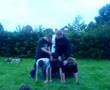 tilgate