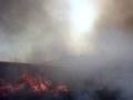 Wheat Field Fire - 8/17/08