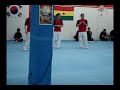 Team Ryouko TKD4