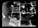 rumble fighter short