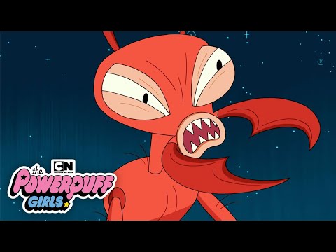 The Powerpuff Girls | A Giant Ant Attacks the City! | Cartoon Network The Powerpuff Girls | A Giant Ant Attacks the City! | Cartoon Network