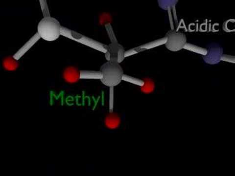 Science Animation (amino acids)