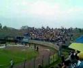 Show lupii