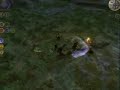 Fasolkowy Geralt Fasolkowy Geralt
