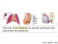 Mesothelioma Prognosis