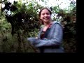 ベルアイル動画