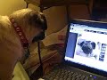 Tika uploading her Character Video on Lom