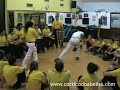 Mestre Abelha e Mestre Laercio - 1